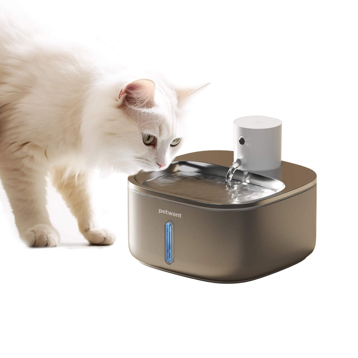 Cat Pet Water Fountain — Wireless Hydration For Less Fuss