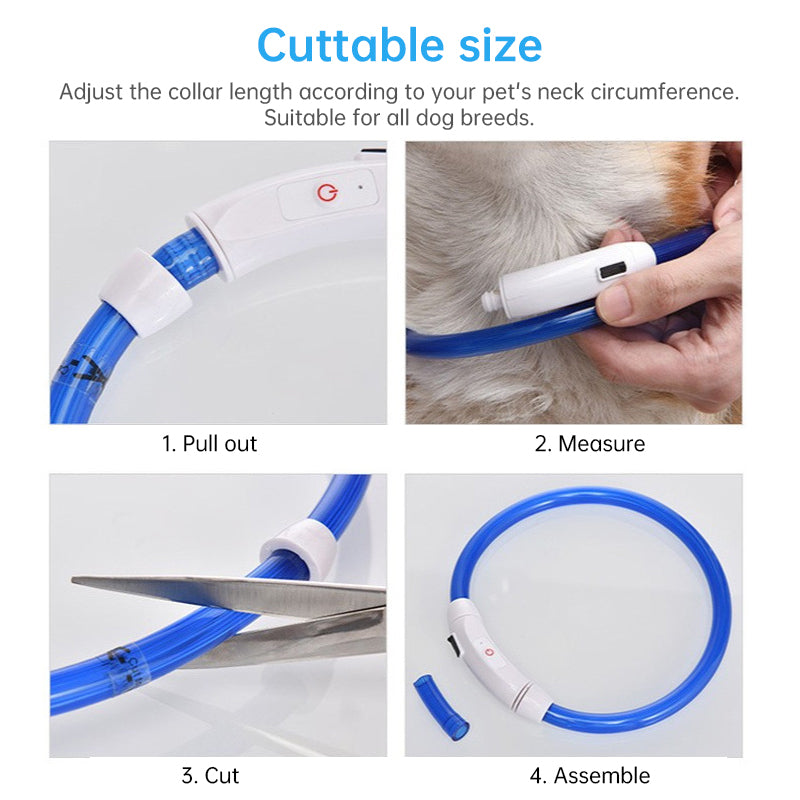 Rechargeable LED Dog Collar for Nighttime Visibility