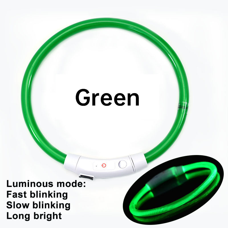 Rechargeable LED Dog Collar for Nighttime Visibility