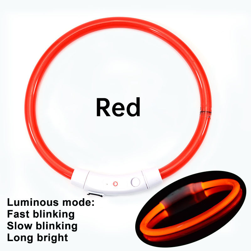 Rechargeable LED Dog Collar for Nighttime Visibility