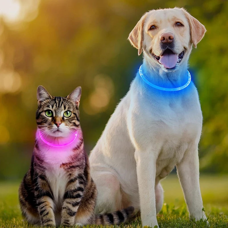 Rechargeable LED Dog Collar for Nighttime Visibility