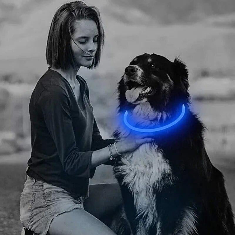Rechargeable LED Dog Collar for Nighttime Visibility