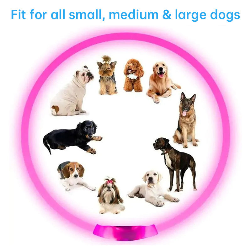 Rechargeable LED Dog Collar for Nighttime Visibility