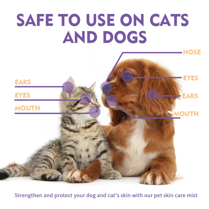 Pet Skin Relief Spray for Itchy, Irritated Skin Care