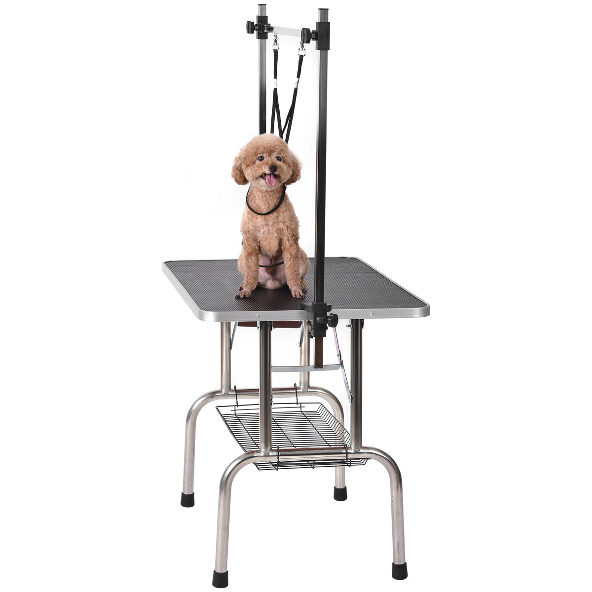 Foldable Professional Dog Grooming Table with Arm & Noose