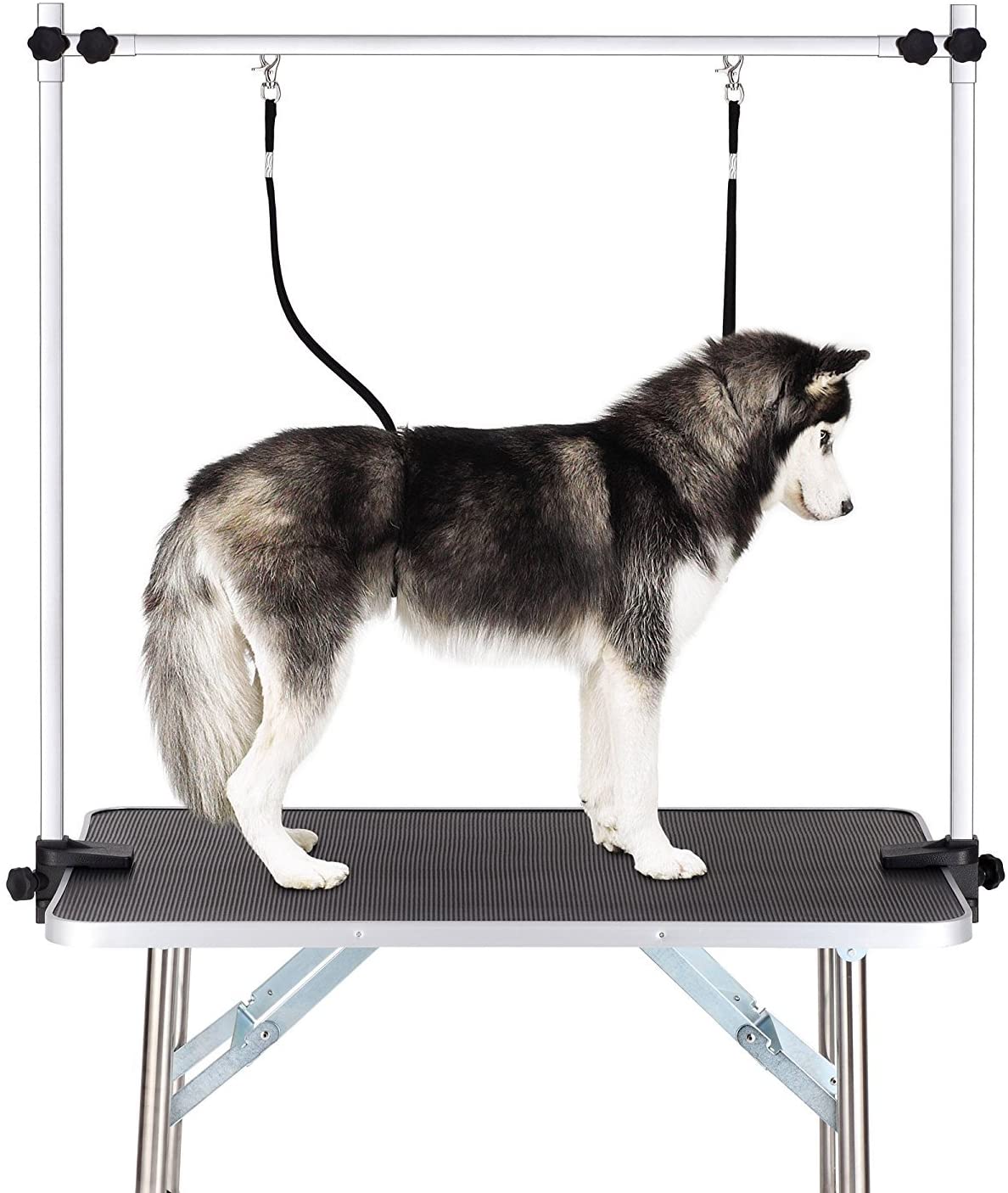 Foldable Professional Dog Grooming Table with Arm & Noose