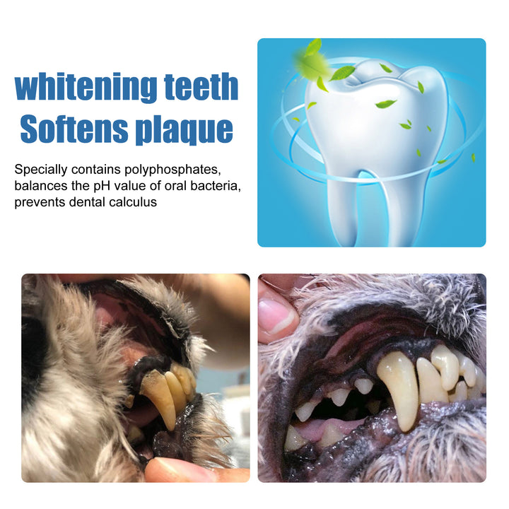 Pet Tartar Remover Foam for Cleaner, Fresher Teeth