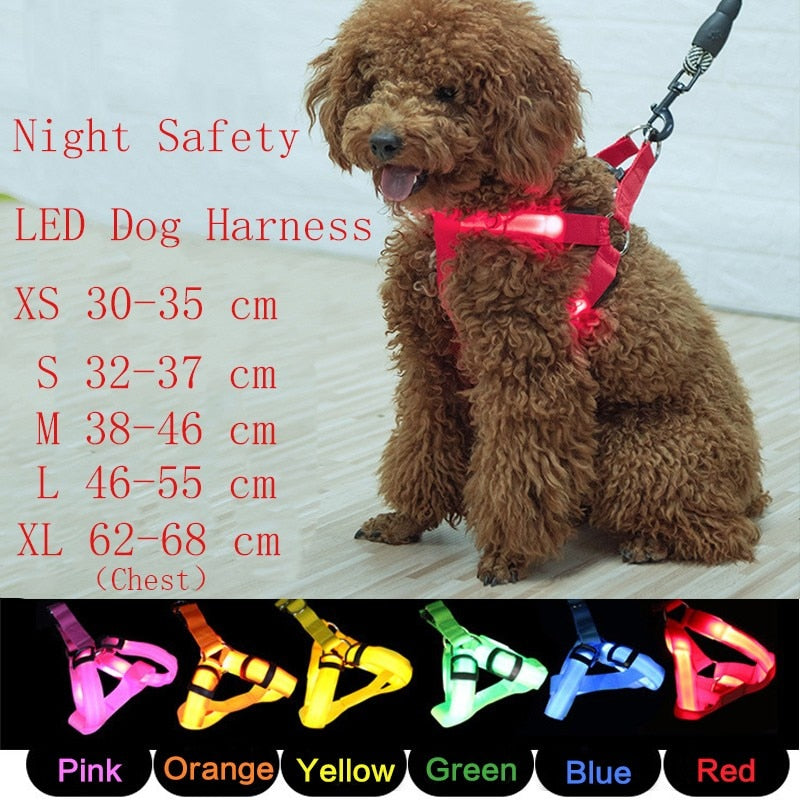 LED Dog Chest Strap for Nighttime Visibility & Safety