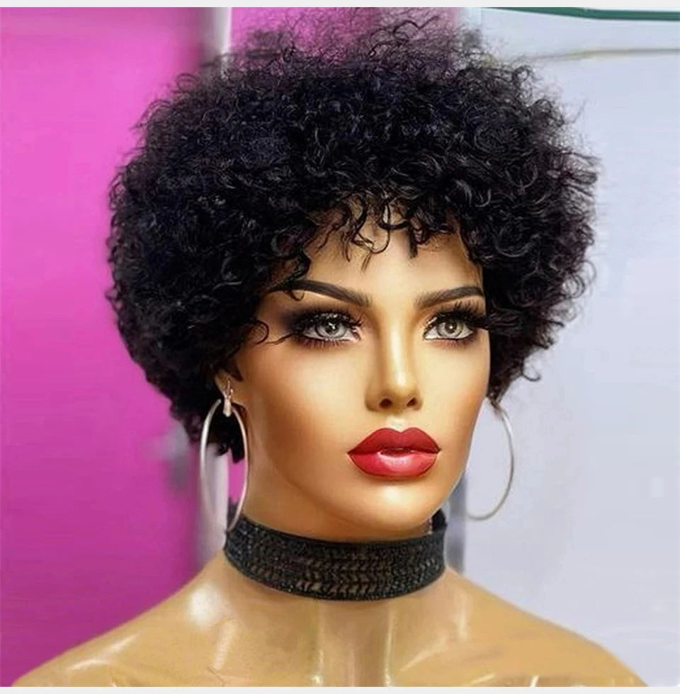 Kinky Curly Afro Wig for Black Women | Glueless Style