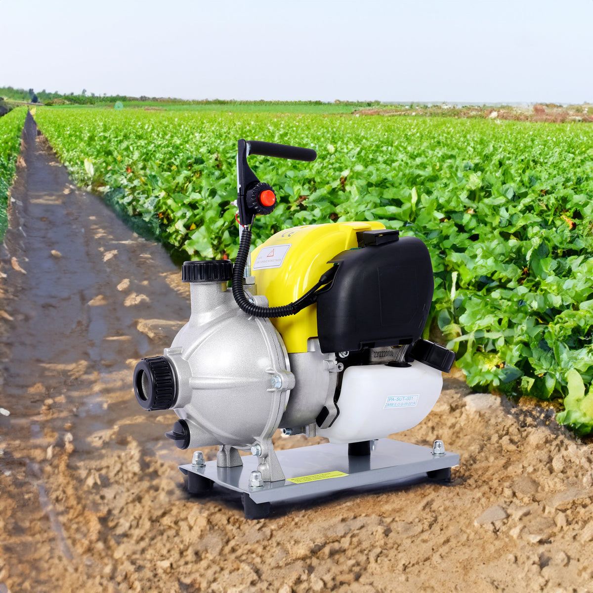 1.5-Inch Portable Gas Water Pump for Field Irrigation