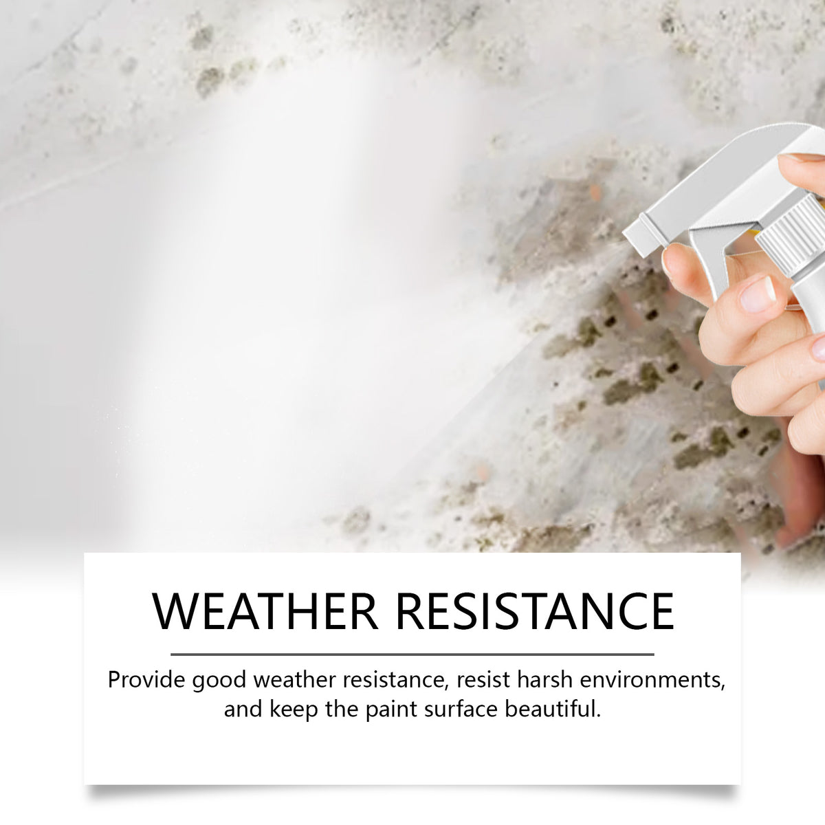 Wall Repair Spray Paint for Stains & Quick Touch-Ups
