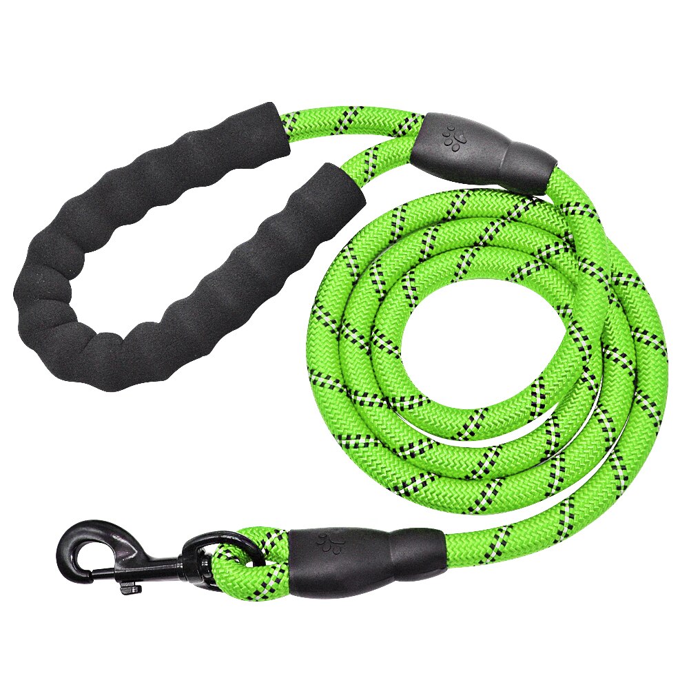 Reflective Dog Leash with Padded Handle for Safer Walks
