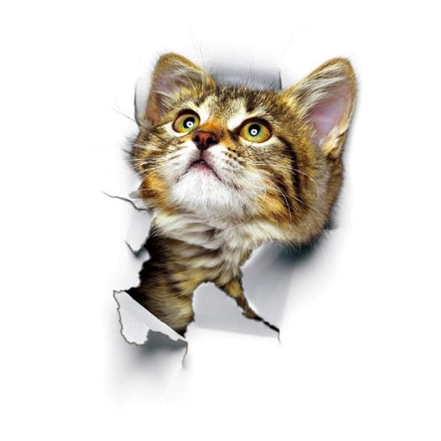 3D Cat Wall Sticker – Removable Trompe L'oeil Decal
