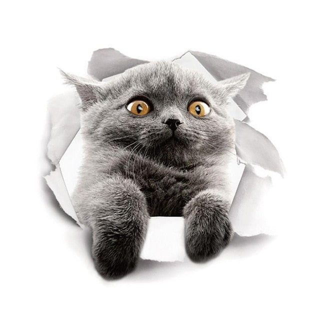 3D Cat Wall Sticker – Removable Trompe L'oeil Decal