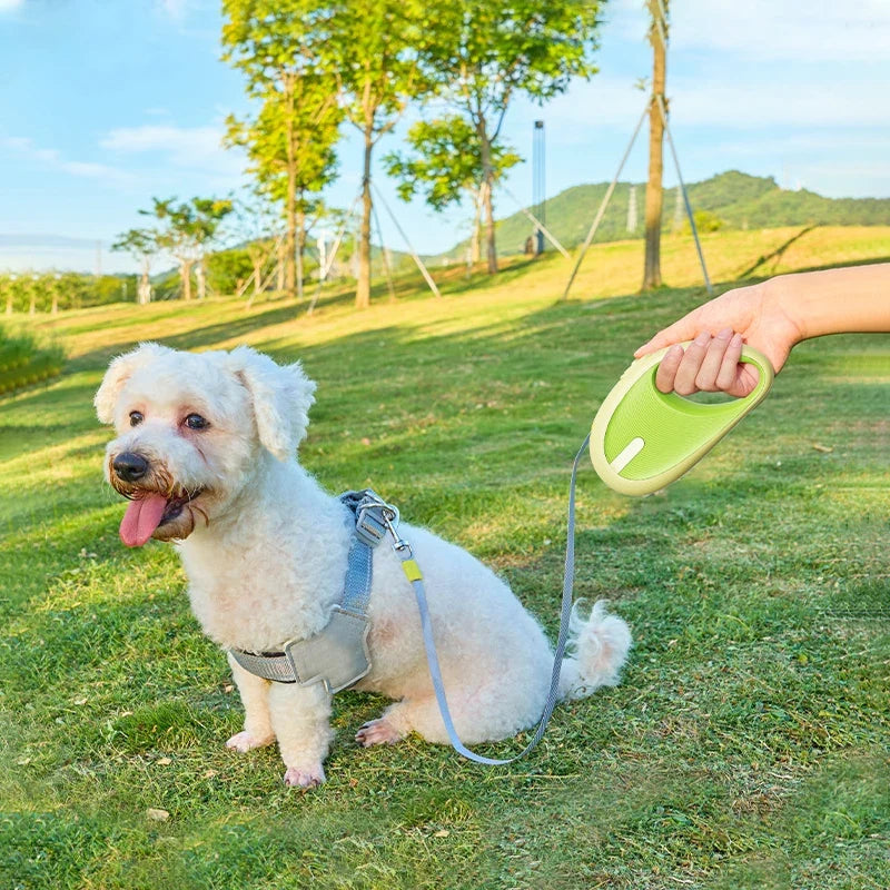 3M Retractable Pet Leash for Small Dogs & Cats Walks