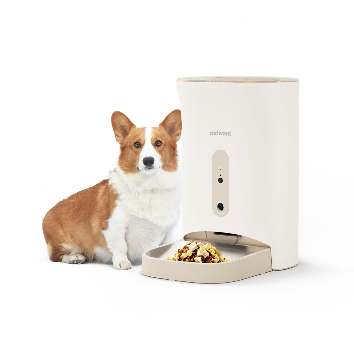 Automatic Pet Feeder with Fresh-Lock Food Storage