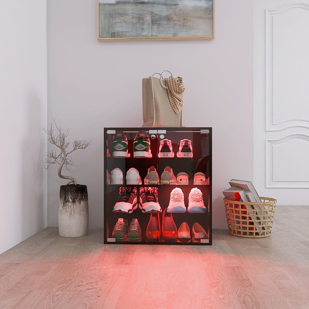 Black Glass Door Shoe Cabinet with LED Light, 4 Tiers