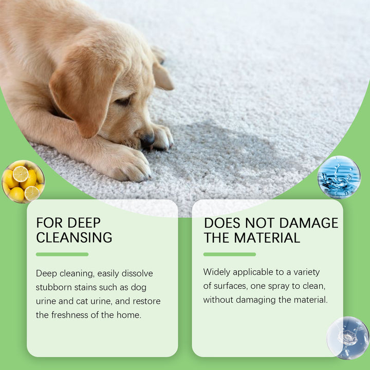 Pet Stain Remover for Odor-Free, Gentle Home Cleaning