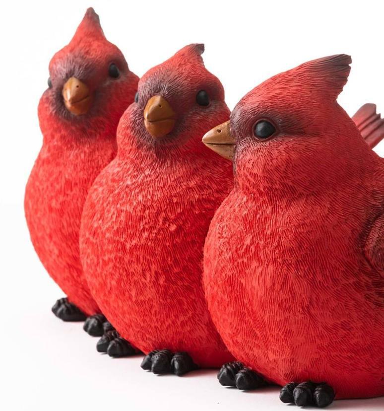 Three Cardinal Resin Planter for Porch & Balcony Decor