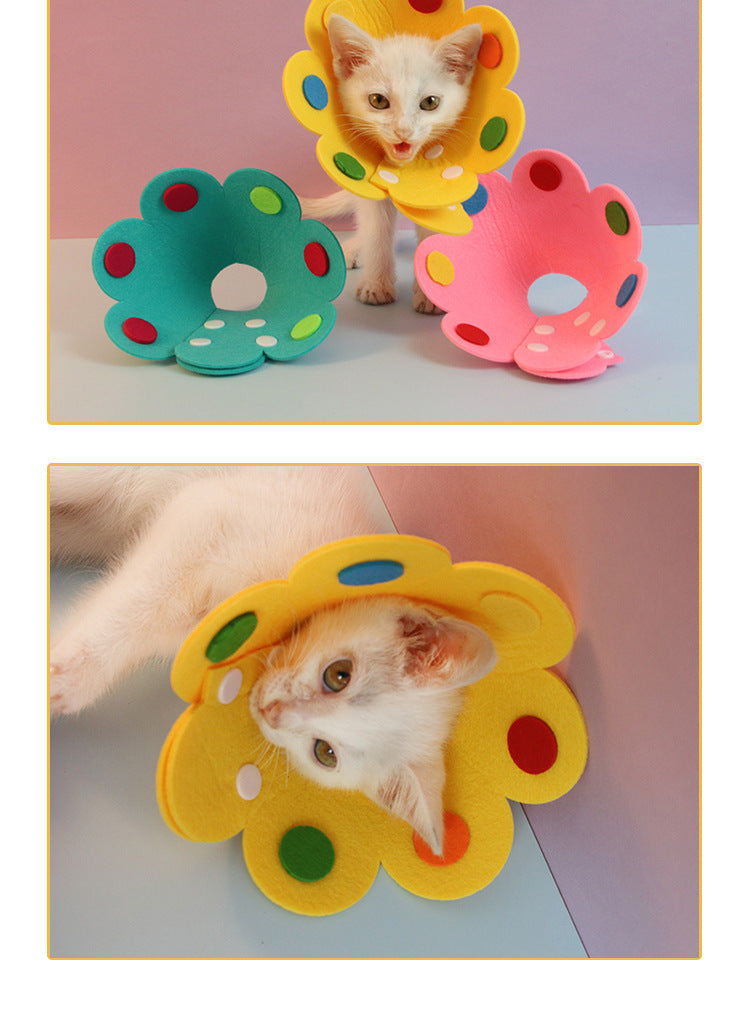 Pet Protective Collar for Wound & Lick Protection