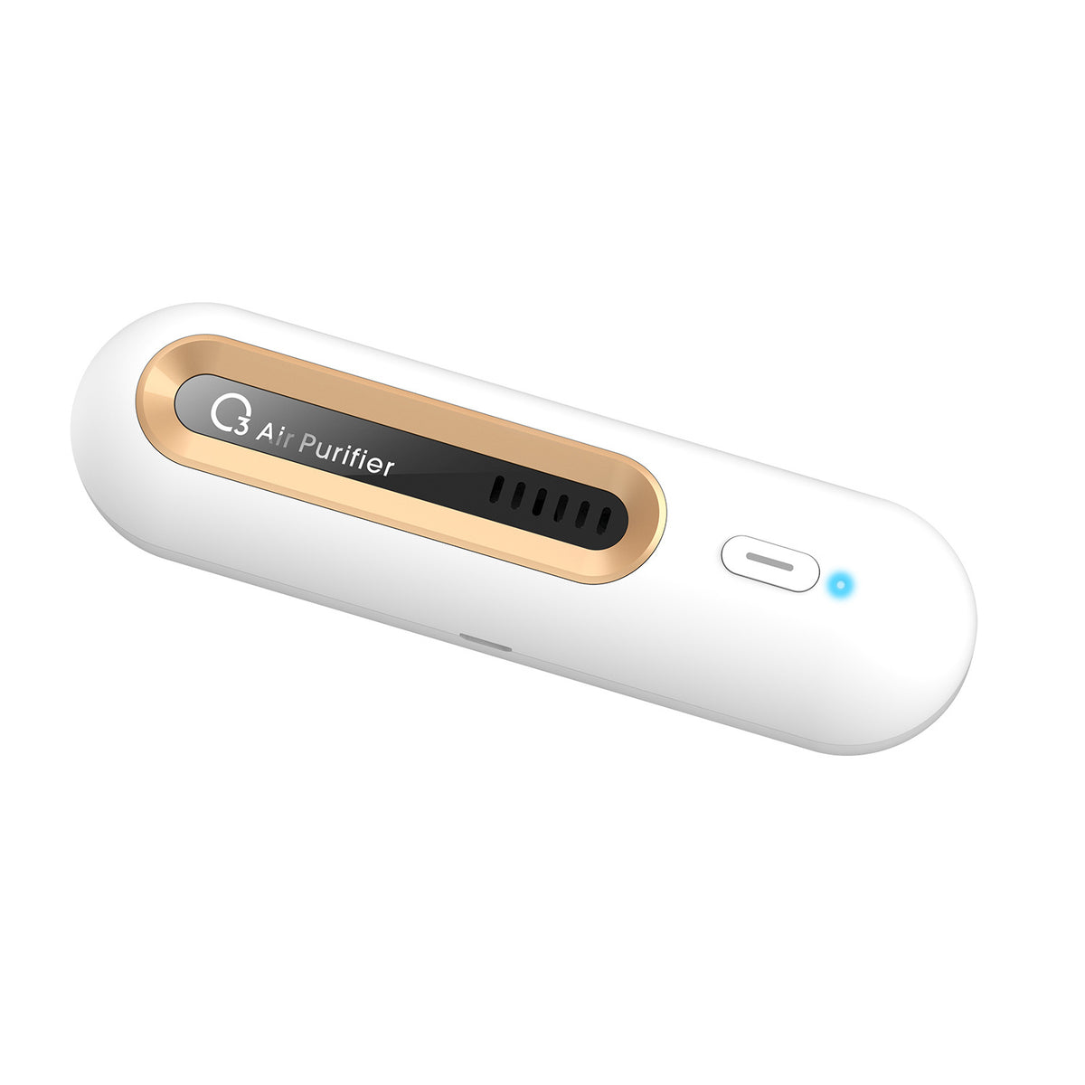 Compact Ozone Air Purifier for Fridge and Pet Odor