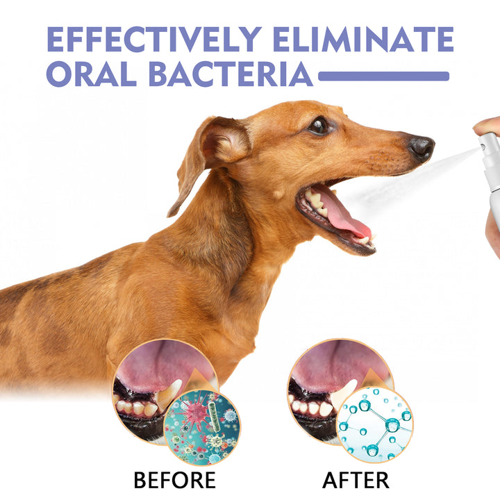 Pet Dental Spray for Dogs & Cats, Fresh Breath Care