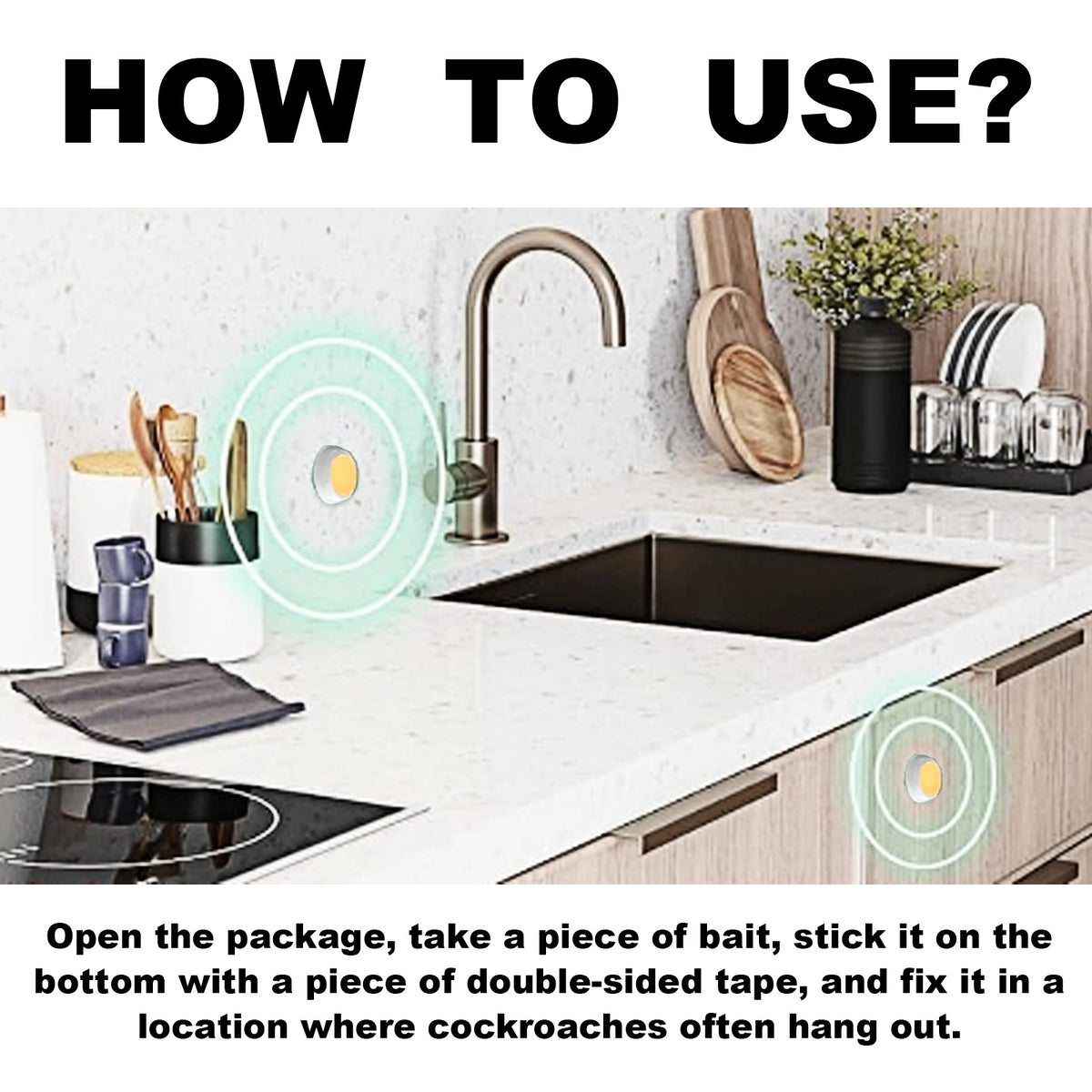 Roach Bait Stations for Fast, No-Mess Home Control