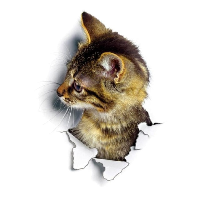 3D Cat Wall Sticker – Removable Trompe L'oeil Decal