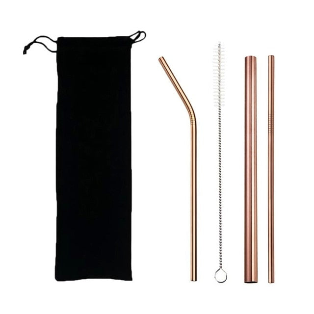 Reusable 304 Stainless Steel Straws Set with Brush & Bag
