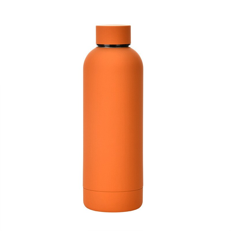 500ml Insulated Water Bottle, Leak-Proof Matte Steel