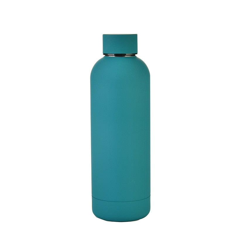 500ml Insulated Water Bottle, Leak-Proof Matte Steel