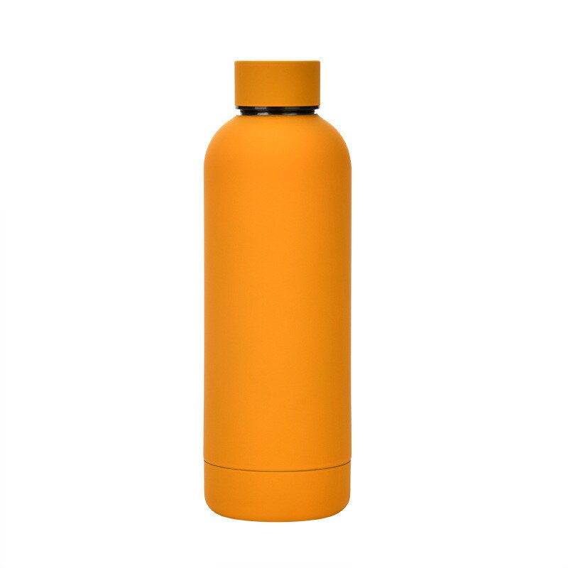 500ml Insulated Water Bottle, Leak-Proof Matte Steel