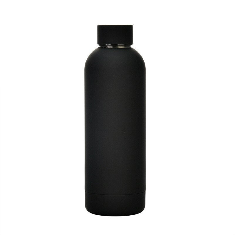 500ml Insulated Water Bottle, Leak-Proof Matte Steel