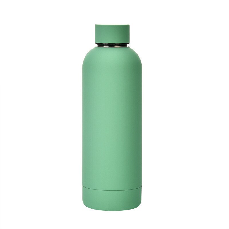 500ml Insulated Water Bottle, Leak-Proof Matte Steel