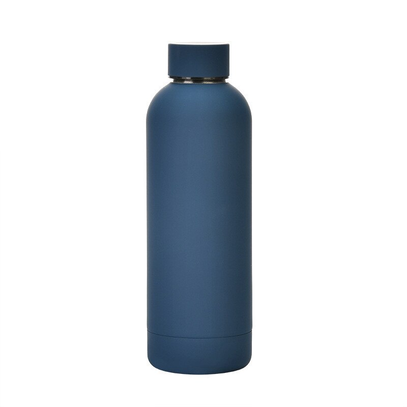 500ml Insulated Water Bottle, Leak-Proof Matte Steel