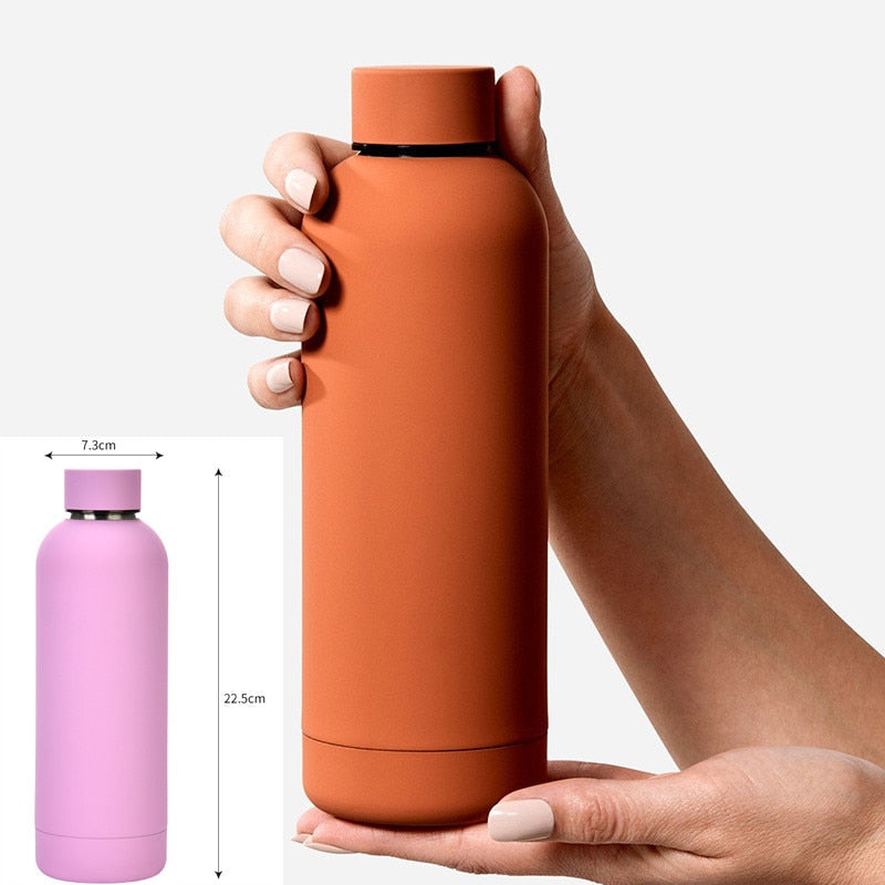 500ml Insulated Water Bottle, Leak-Proof Matte Steel