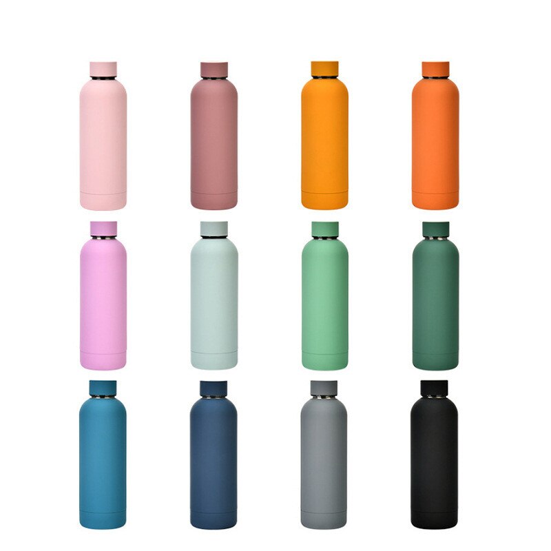 500ml Insulated Water Bottle, Leak-Proof Matte Steel