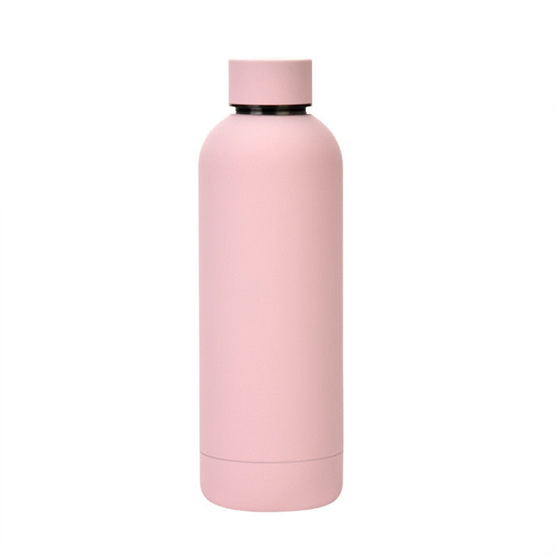 500ml Insulated Water Bottle, Leak-Proof Matte Steel