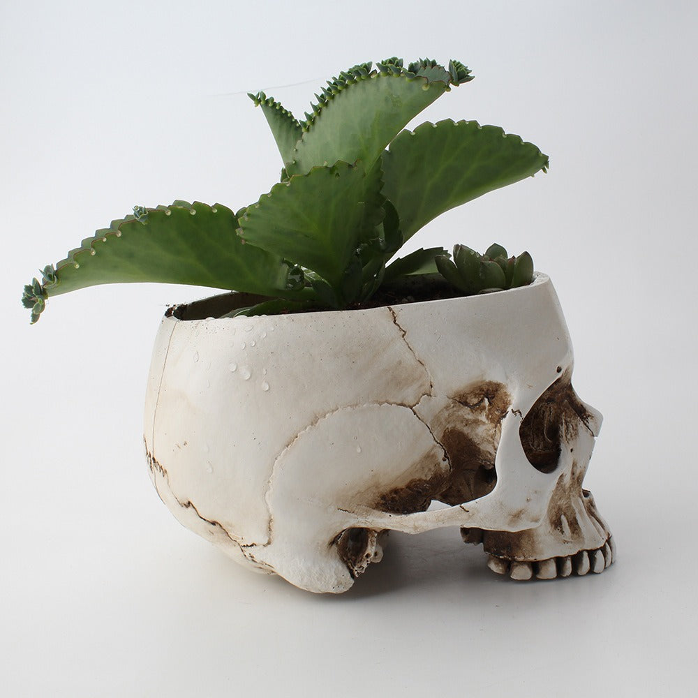 Skull Succulent Planter, Gothic Desktop Flower Pot