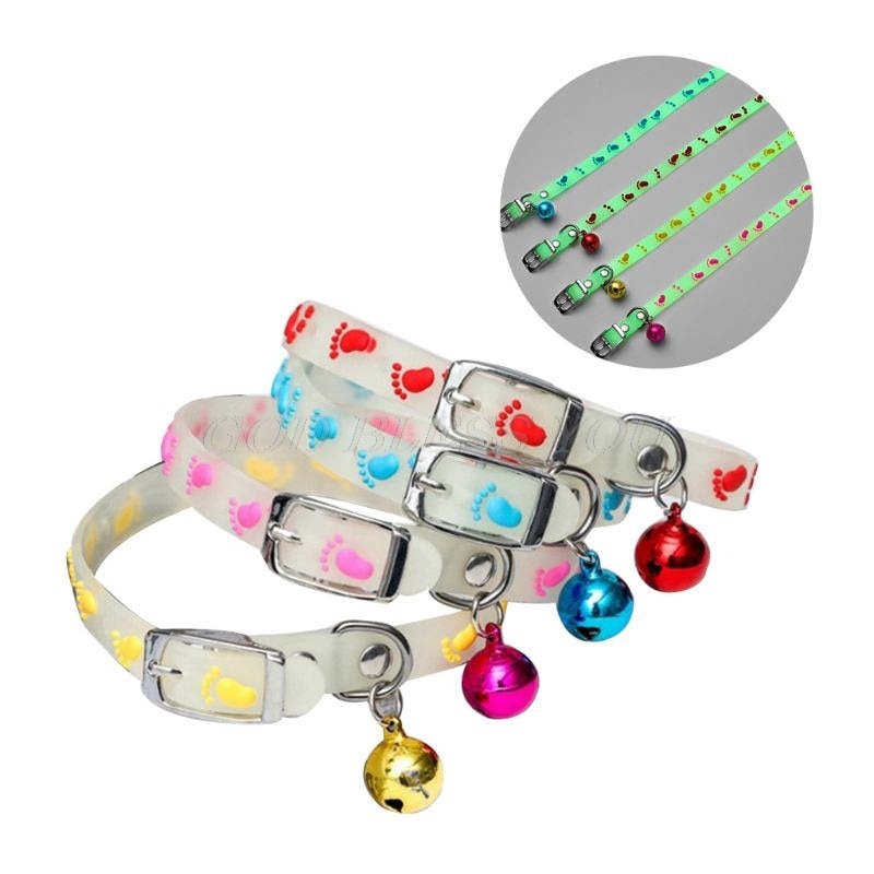 Glowing Pet Collar for Nighttime Walk Visibility & Style