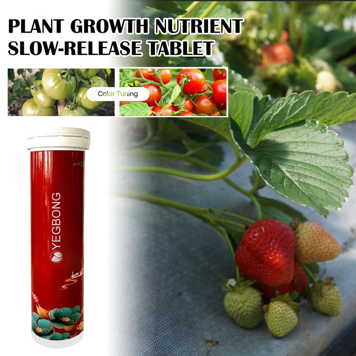Plant Fertilizer Tablets for Healthier Leaves and Growth