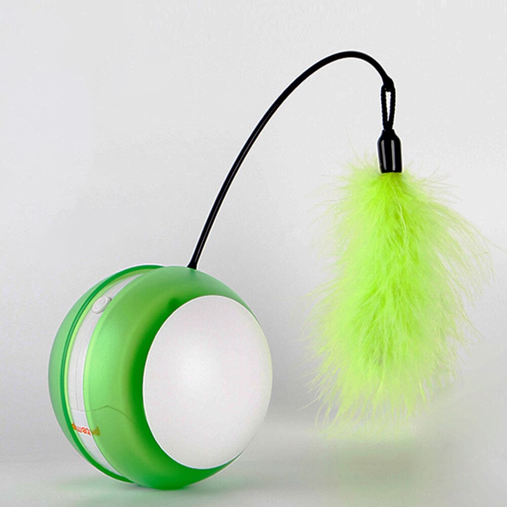 Interactive Rolling Cat Toy for Indoor Daily Exercise