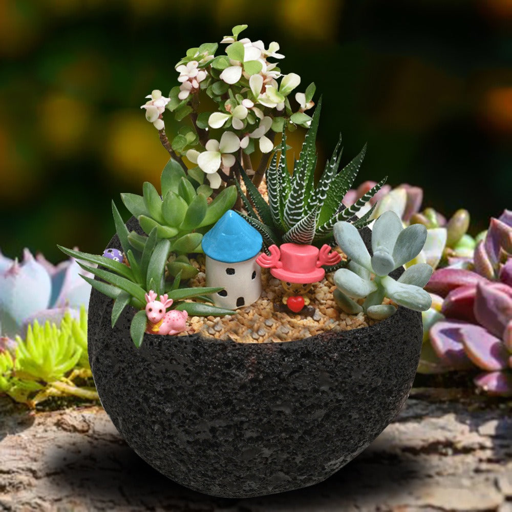 Volcanic Stone Planter Pot for Desk and Shelf Decor