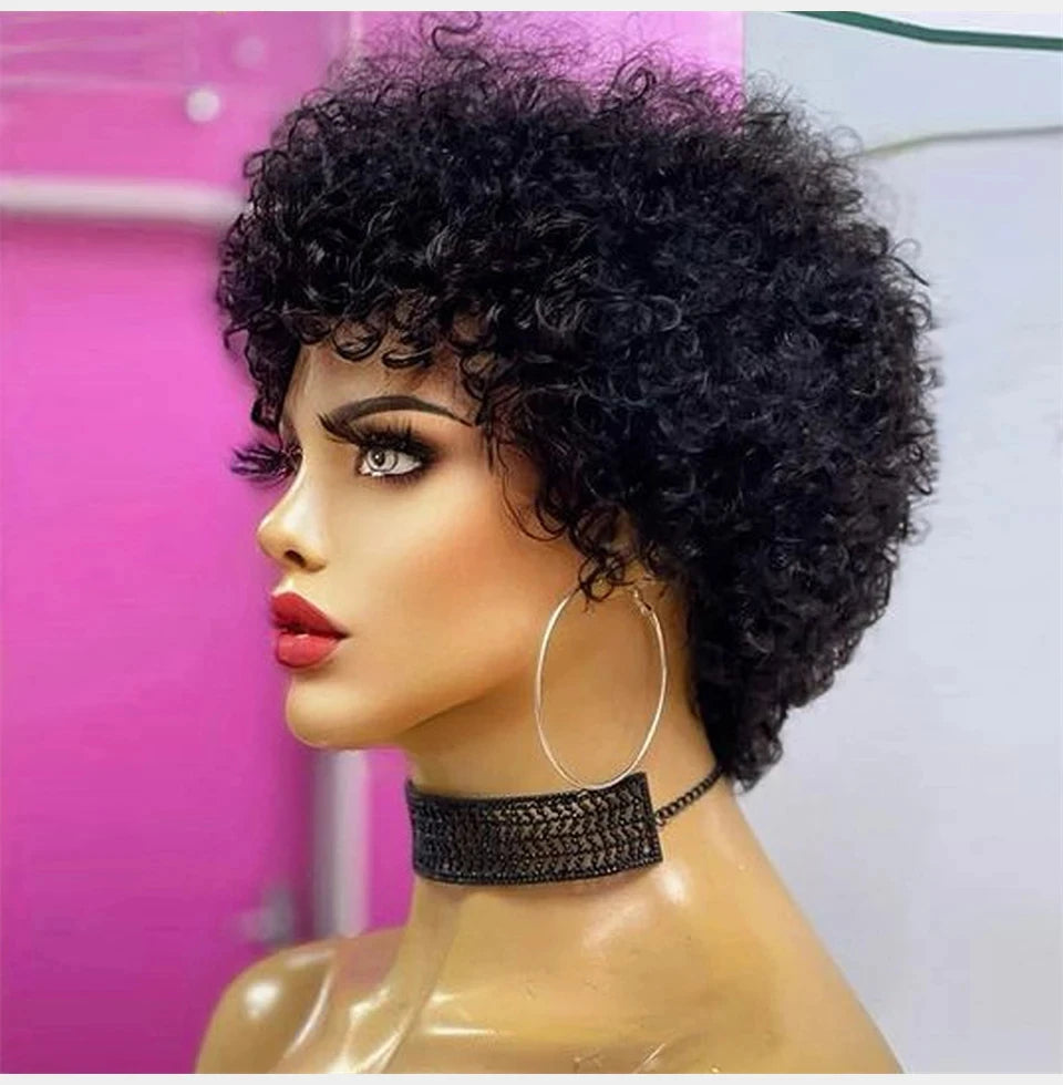 Kinky Curly Afro Wig for Black Women | Glueless Style