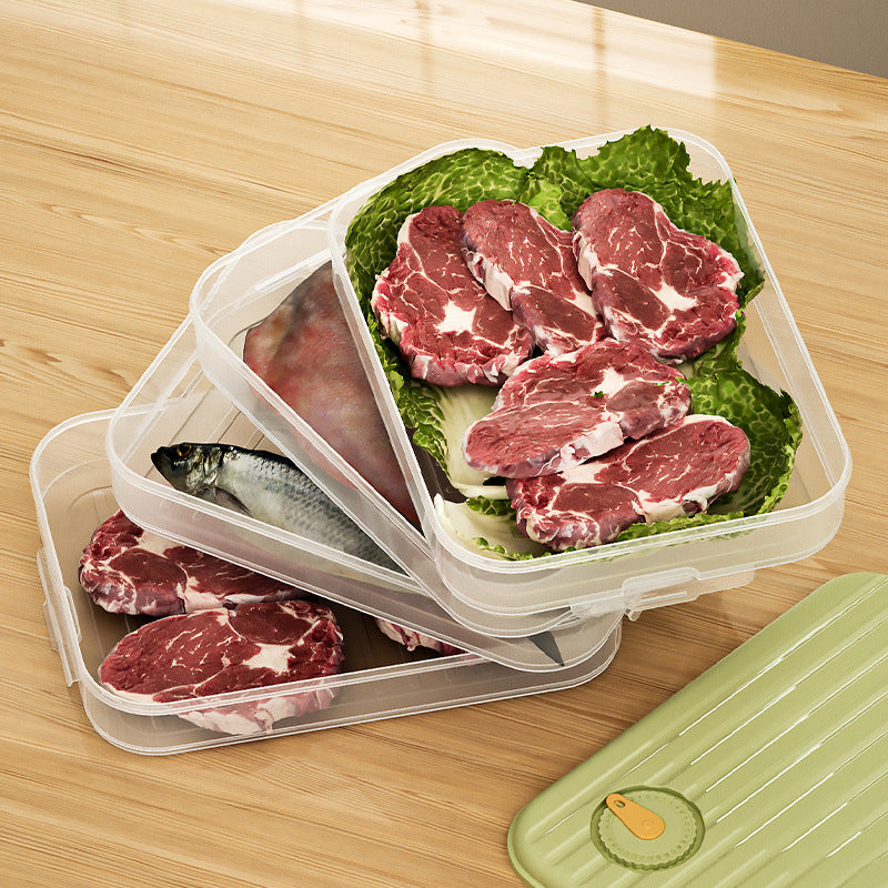Dumpling Freezer Storage Box with Clear Sealed Lid