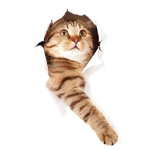 3D Cat Wall Sticker – Removable Trompe L'oeil Decal
