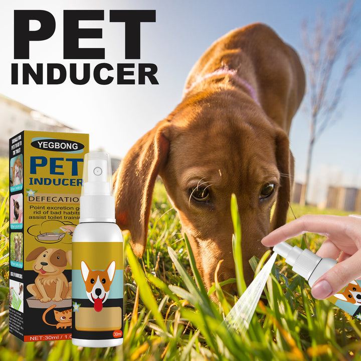 Pet Potty Training Spray for Designated Bathroom Spots