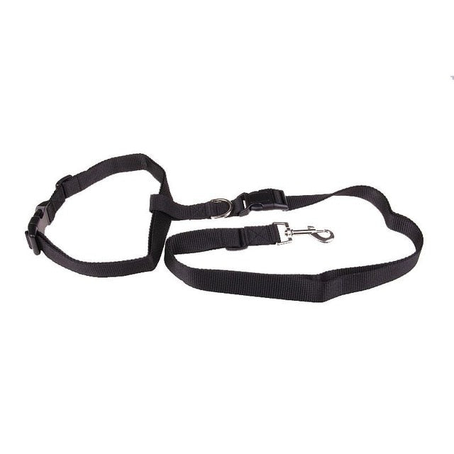 Hands-Free Dog Running Leash for Comfortable Jogging
