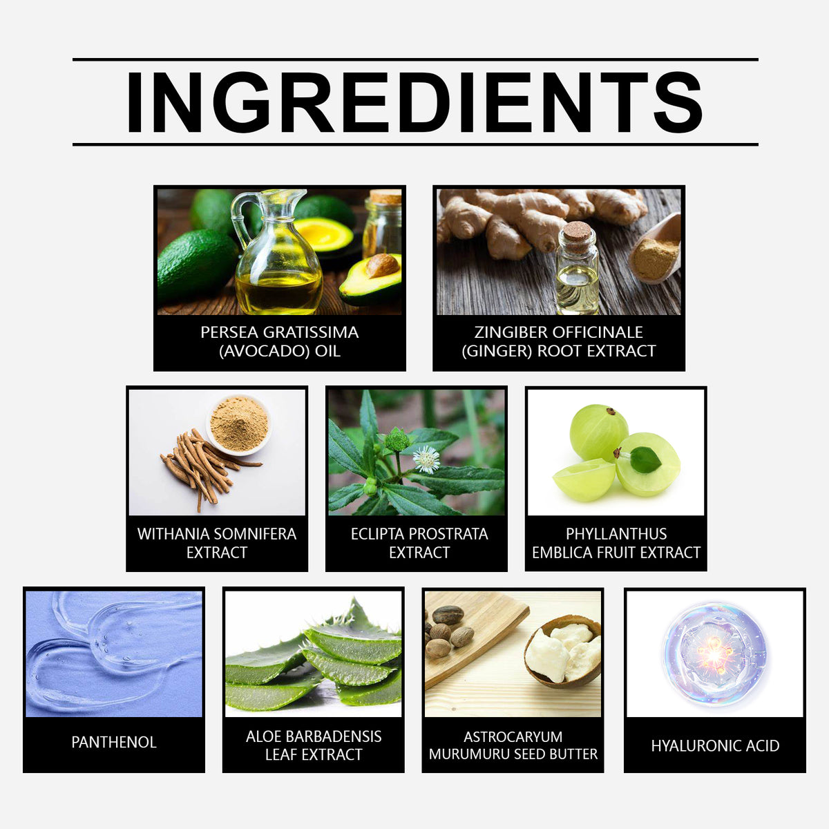 Herbal Conditioner for Dry, Frizzy, Breakage-Prone Hair