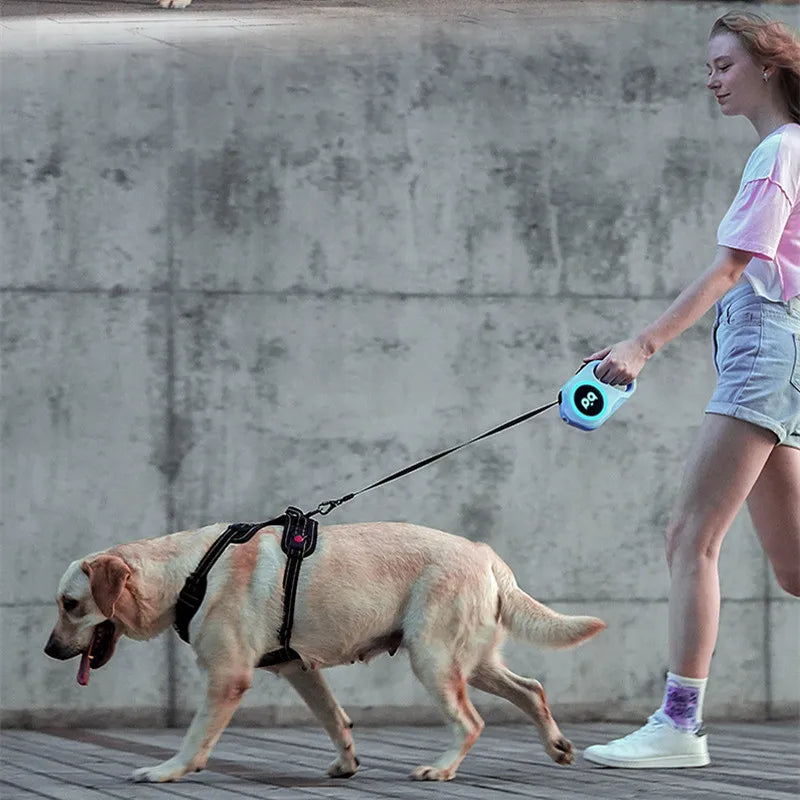 5M Retractable Dog Leash With LED Night Visibility